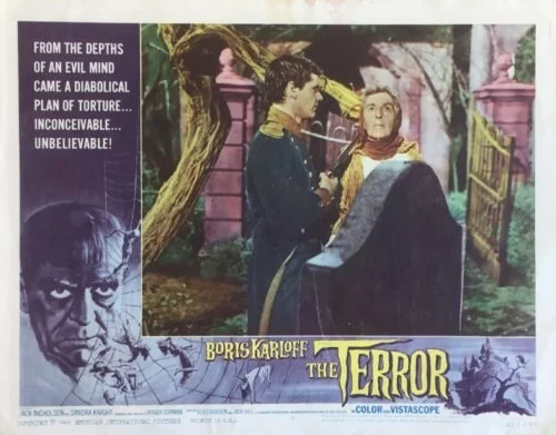 Original vintage US cinema lobby card movie poster for The Terror