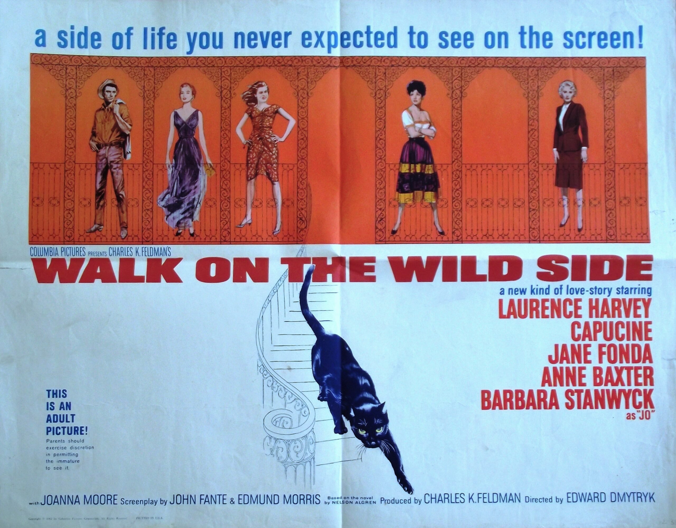 Original vintage cinema movie poster for Walk on the Wild Side