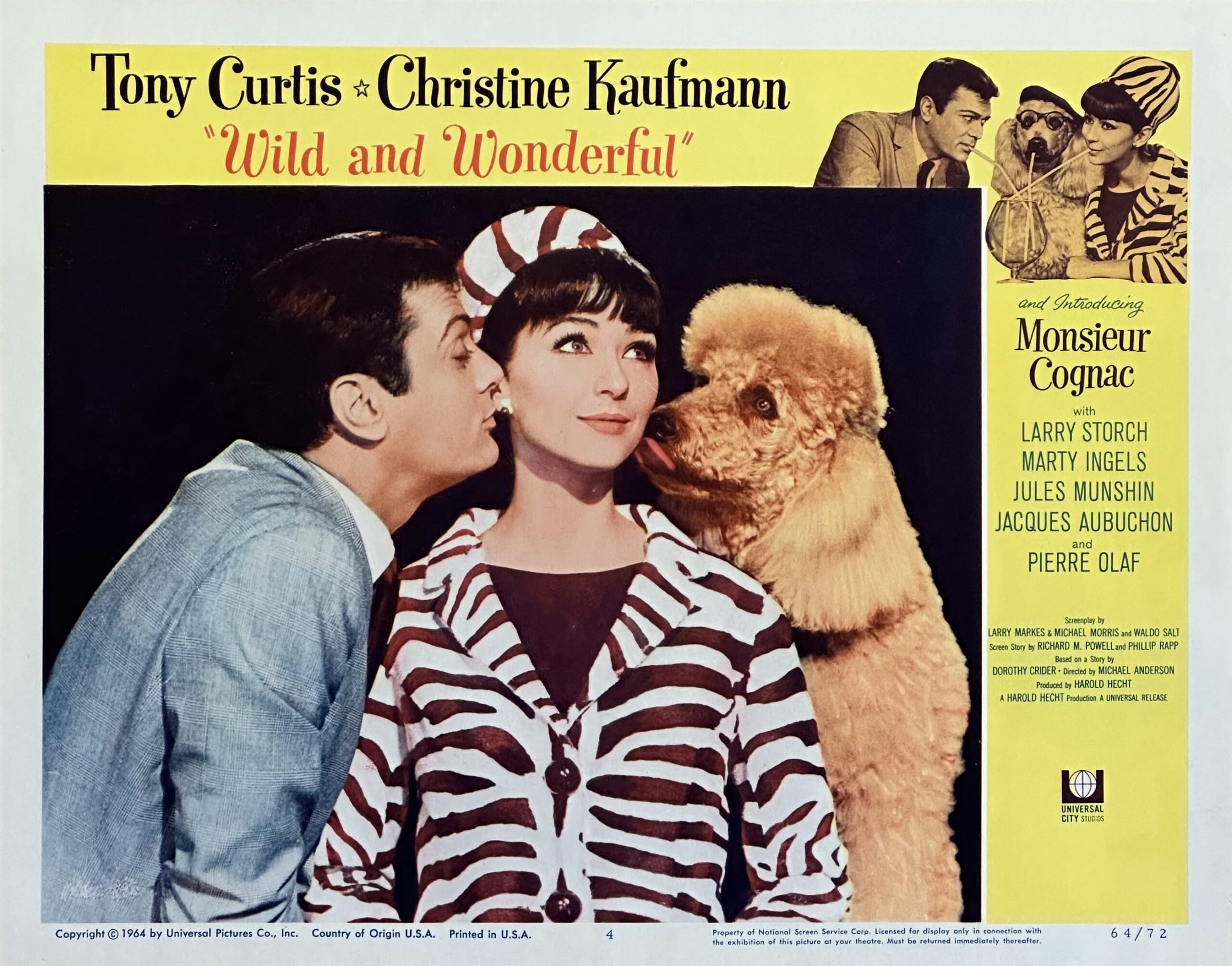 Original vintage cinema lobby card movie poster for Tony Curtis comedy, Wild and Wonderful