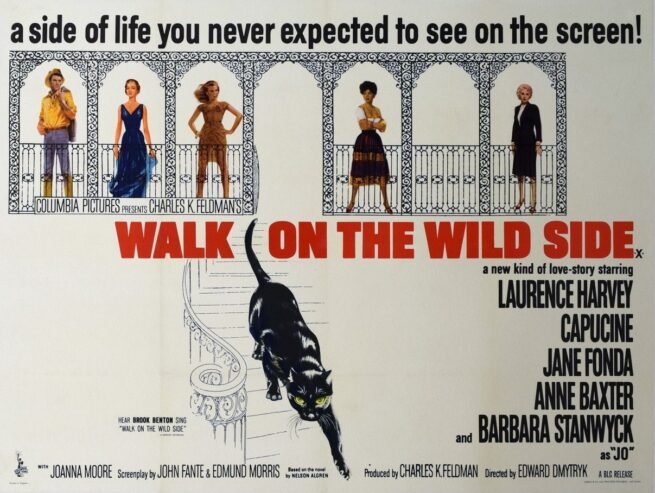 Original vintage cinema movie poster for Walk on the Wild Side