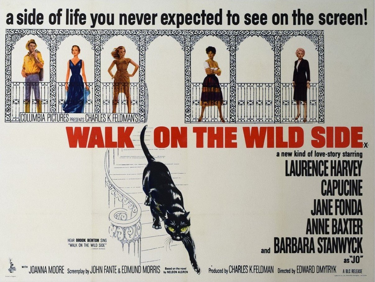 Original vintage cinema movie poster for Walk on the Wild Side